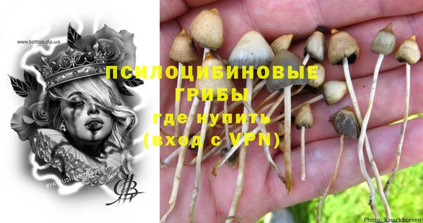 прущие грибы Белоозёрский