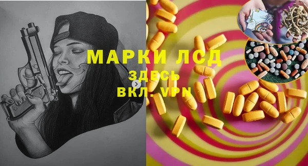 прущие грибы Белоозёрский