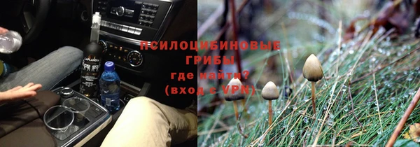 прущая мука Богданович