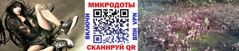 Псилоцибиновые грибы прущие грибы  Вельск 